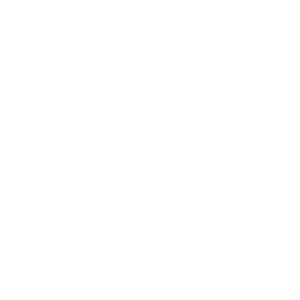 Screeding icon