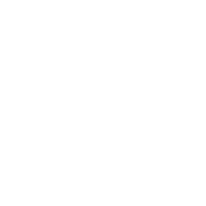 Flooring icon